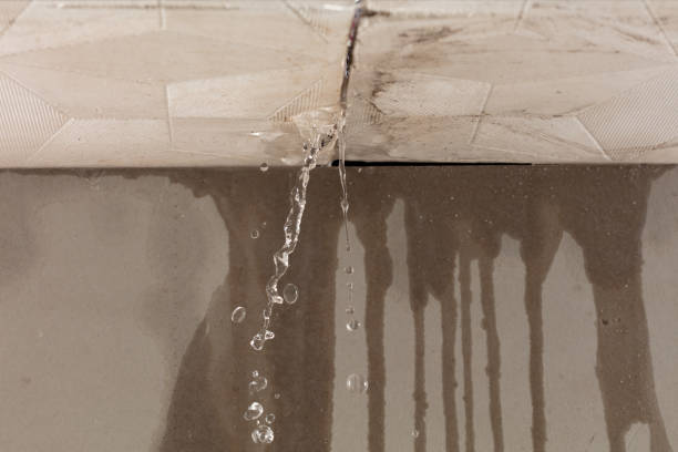 Professional Water Damage Inspection technician working in Ontario, CA